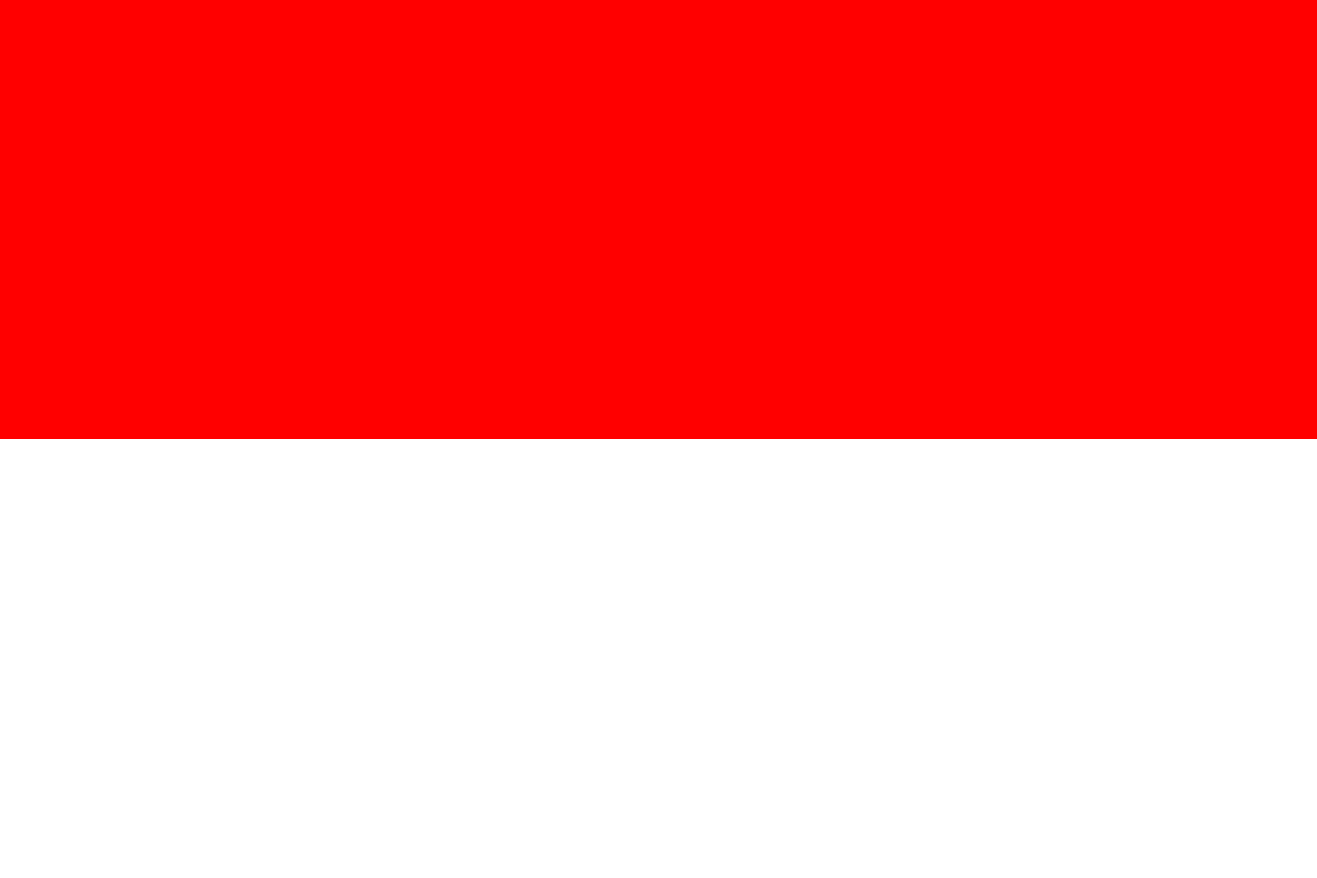 flag of Indonesia