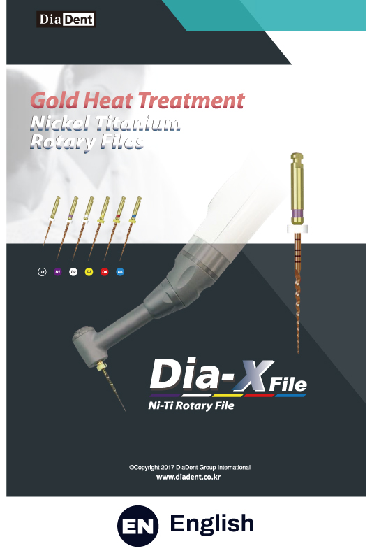 Dia-X File (Eng.2017)